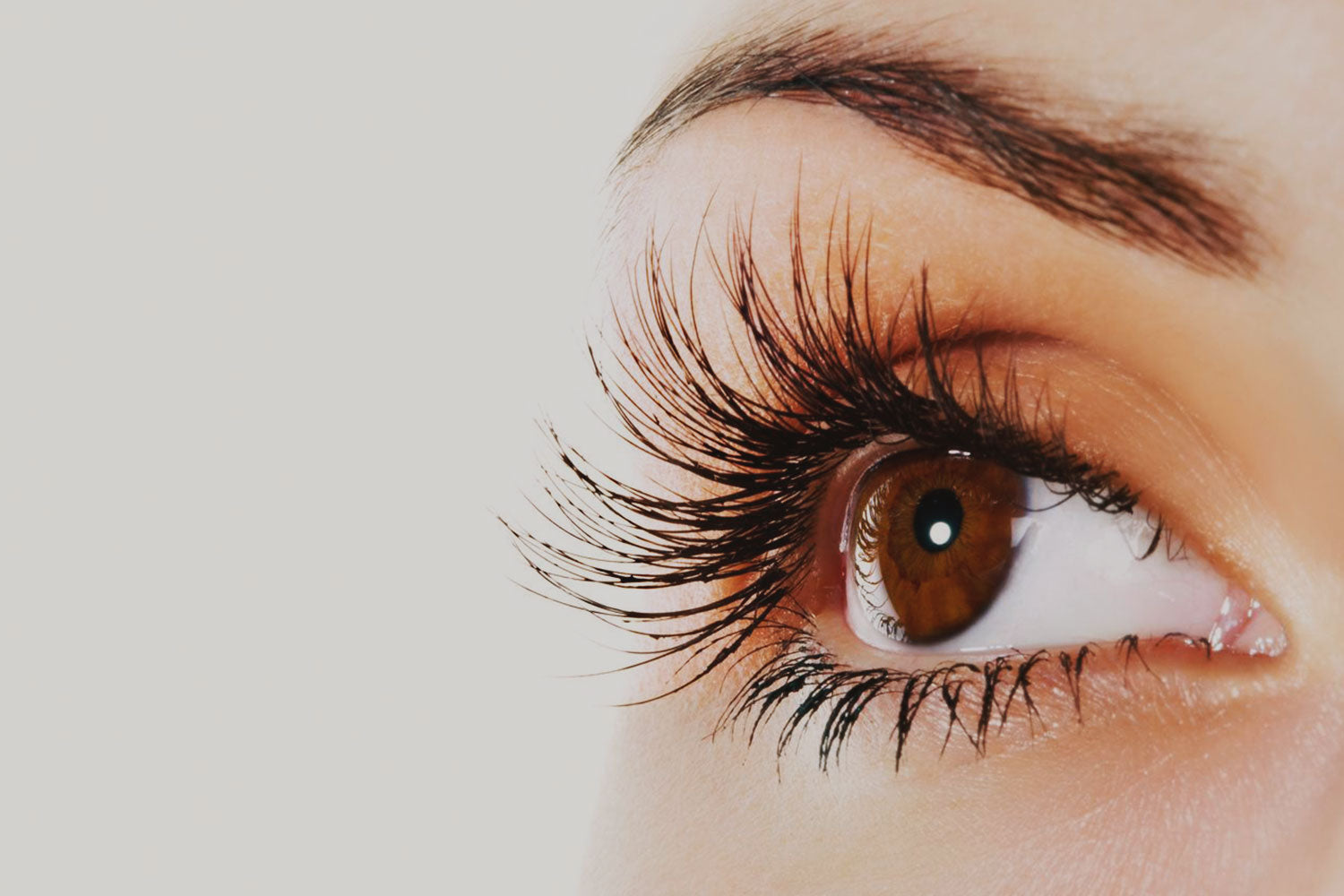 Alongamento de Cílios Fio a Fio: Tudo Que Você Precisa Saber - Blog da Amorope com Déia Federici